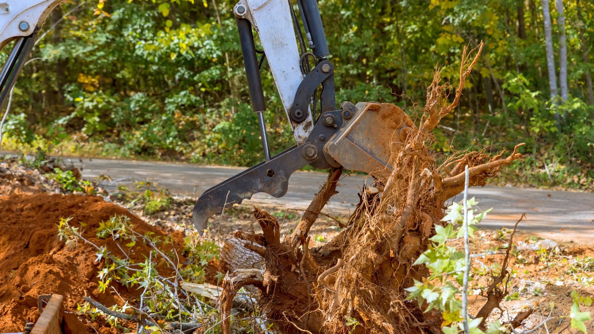 Excavator removing large root system from forested ground