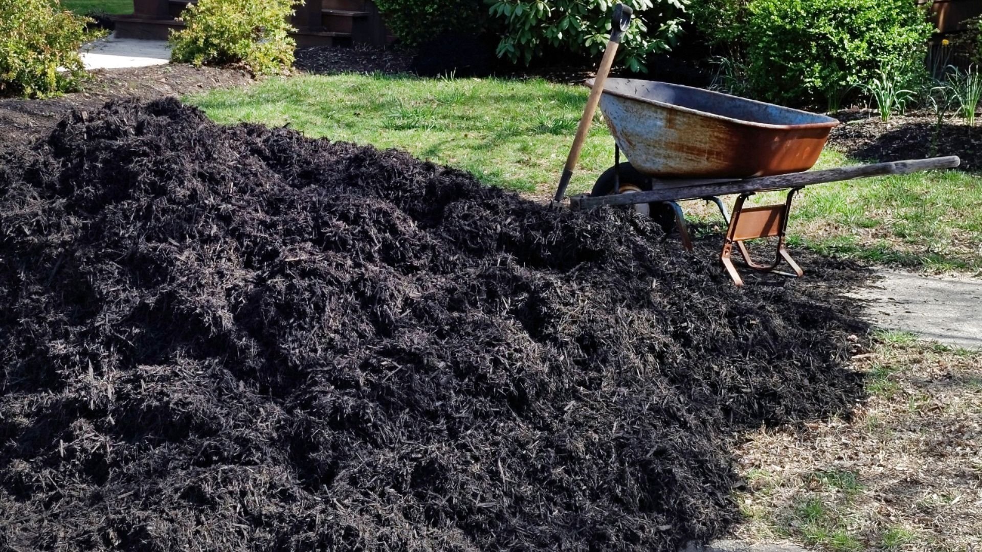 Large pile of dark mulch with wheelbarrow in garden landscaping area